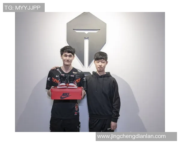 TES战队数据分析揭示其在赛场上的强大实力与表现潜力